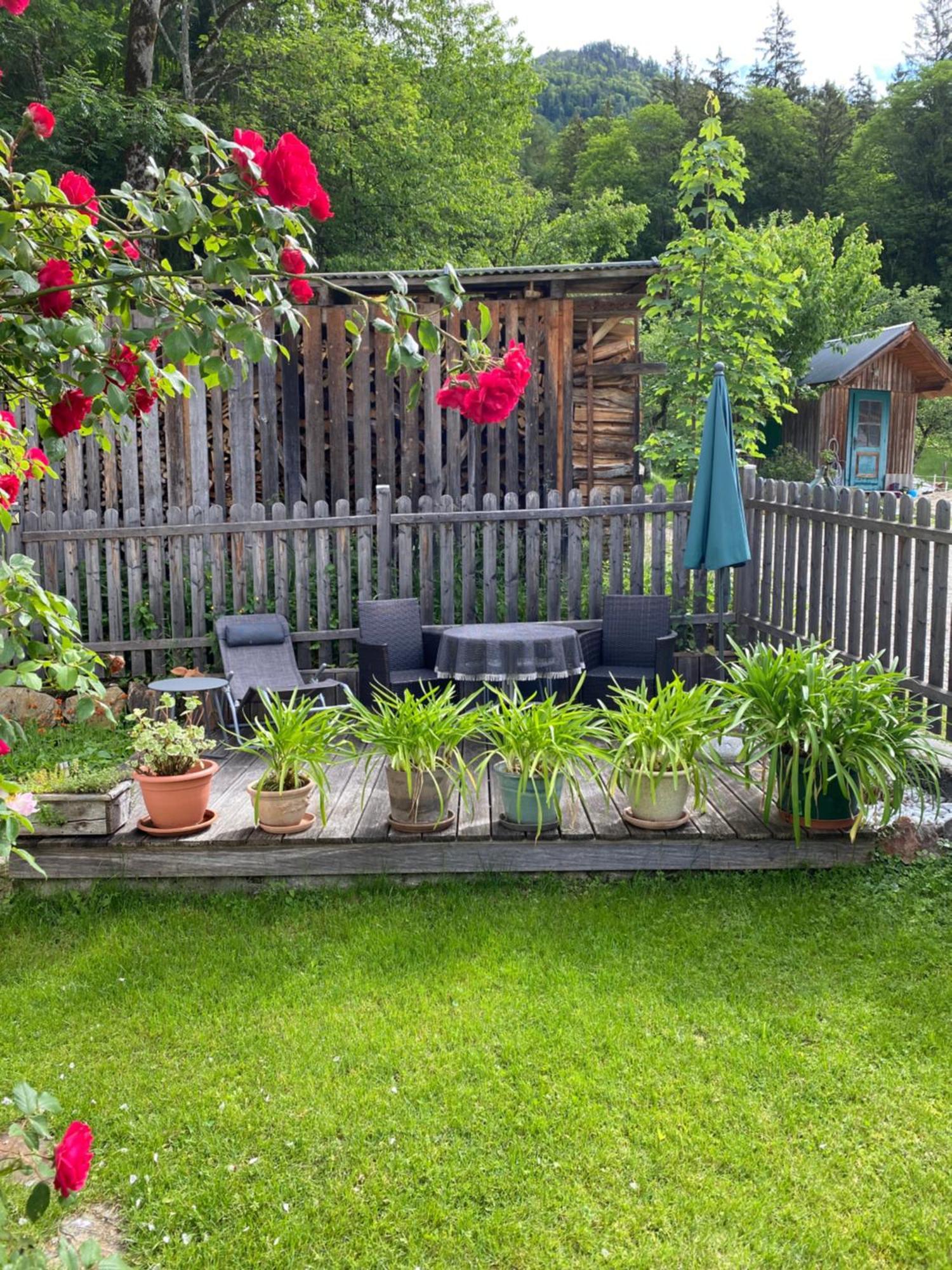 Ferienwohnung Laimer, Radau 37 Saint Wolfgang Εξωτερικό φωτογραφία